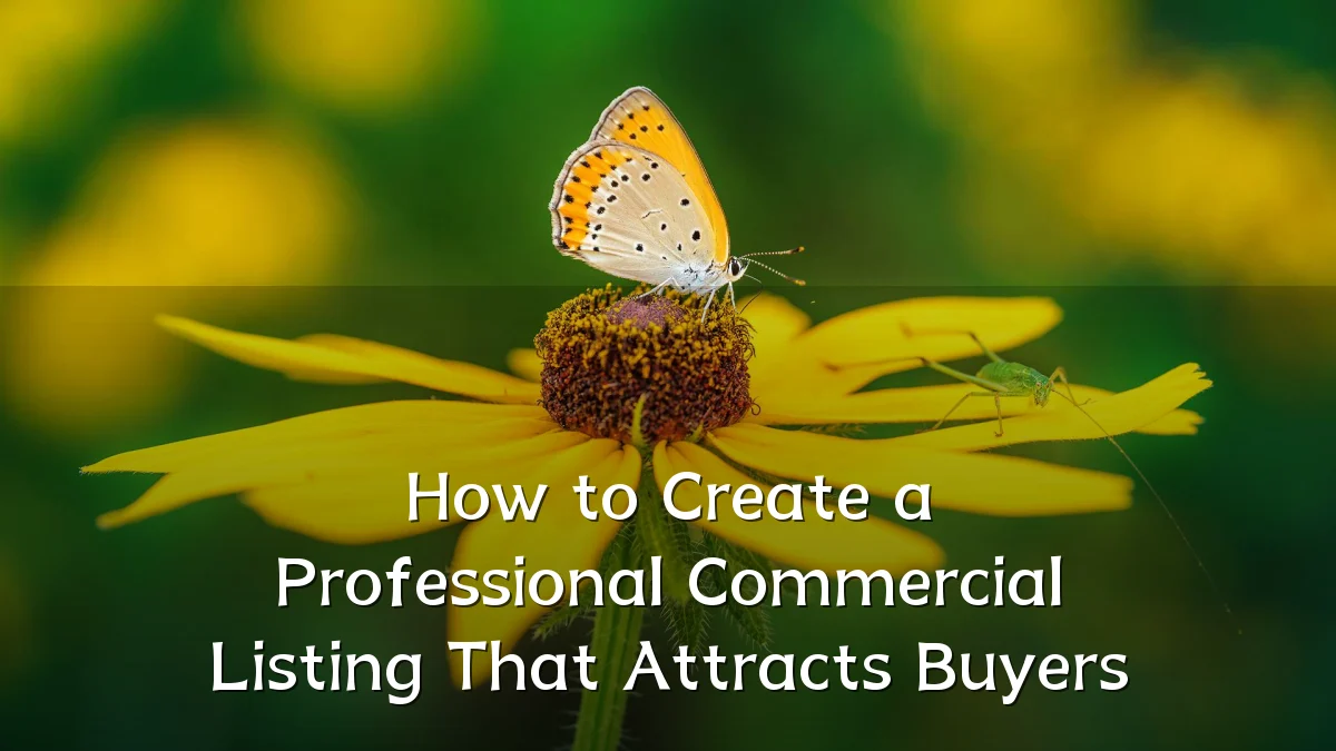 How to Create a Professional Commercial Listing That Attracts Buyers