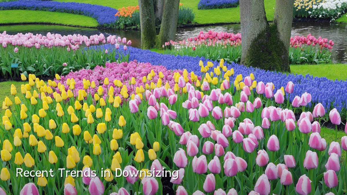 Recent Trends in Downsizing