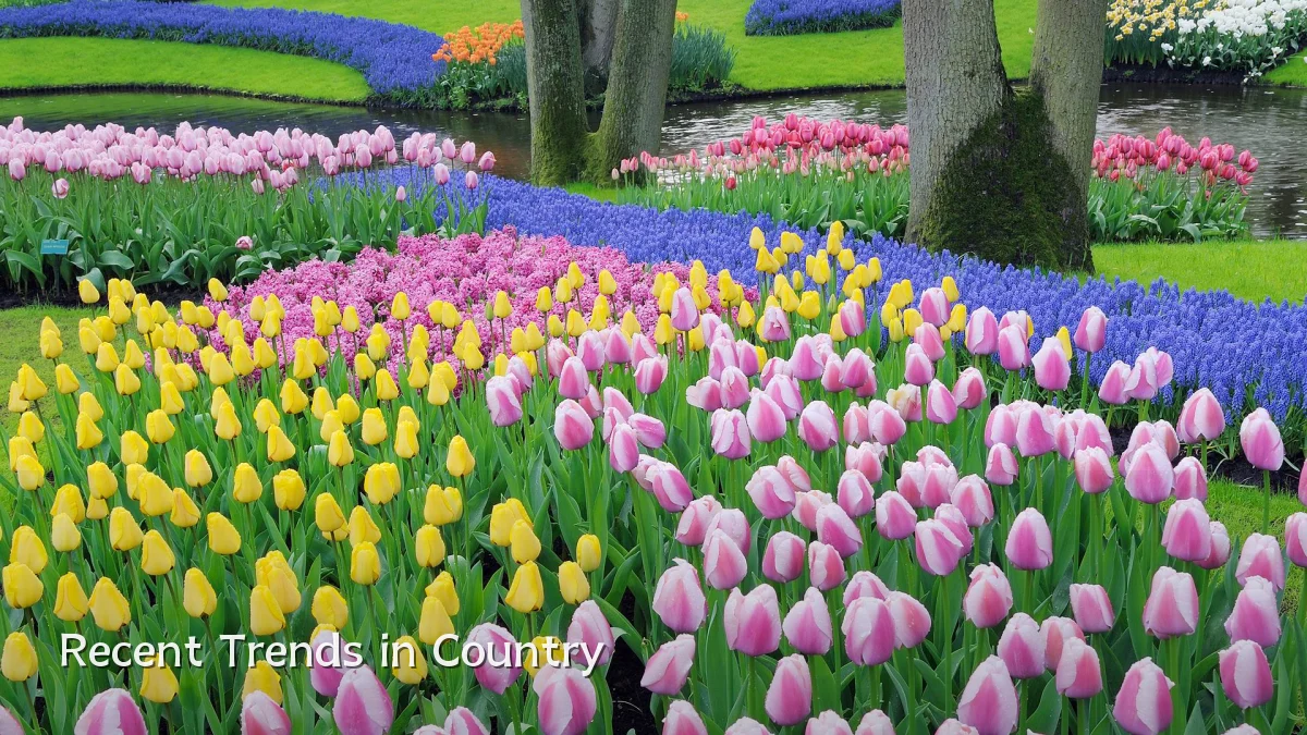 Recent Trends in Country