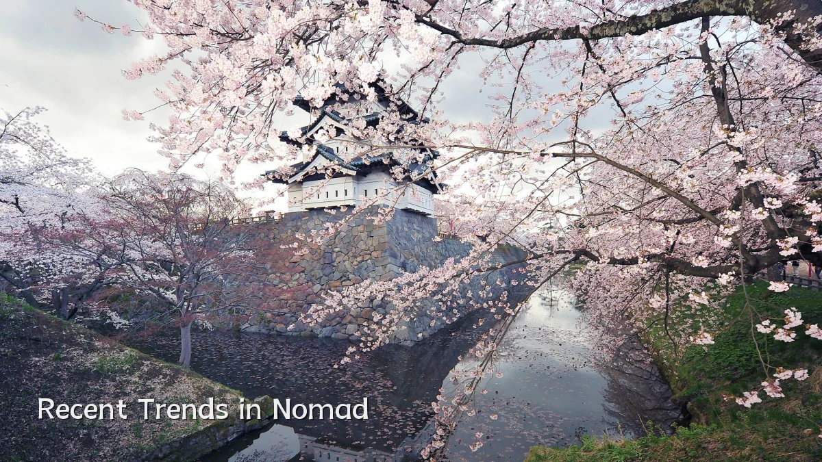 Recent Trends in Nomad