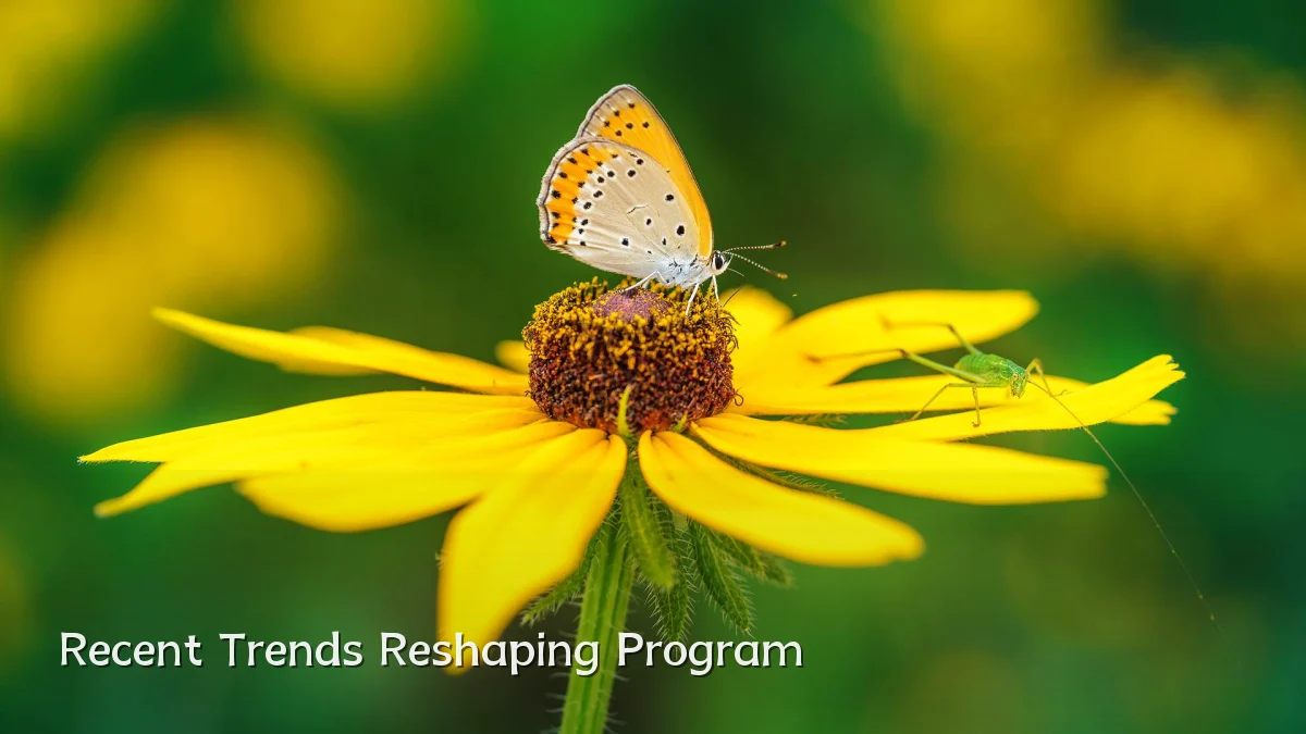 Recent Trends Reshaping Program
