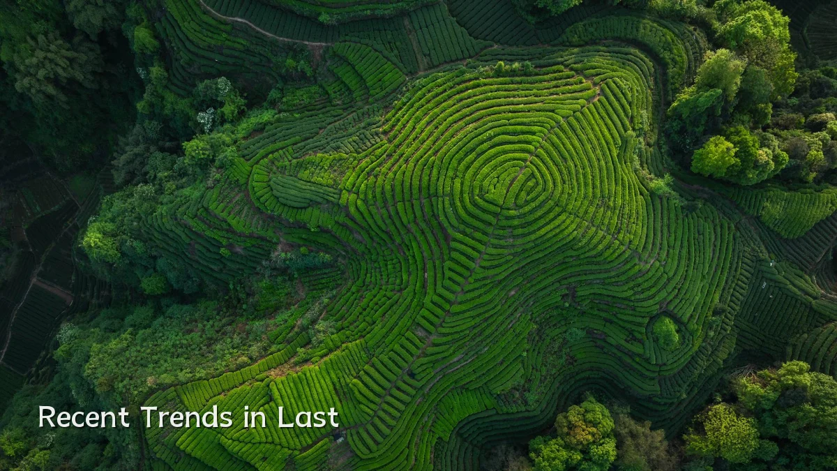 Recent Trends in Last