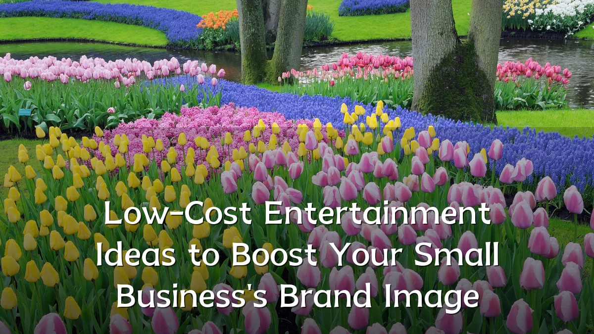Low-Cost Entertainment Ideas to Boost Your Small Business's Brand Image