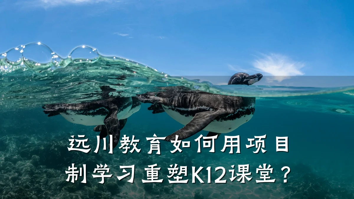 远川教育如何用项目制学习重塑K12课堂？