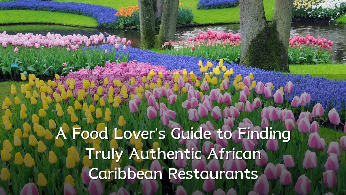 A Food Lover's Guide to Finding Truly Authentic African Caribbean Restaurants
