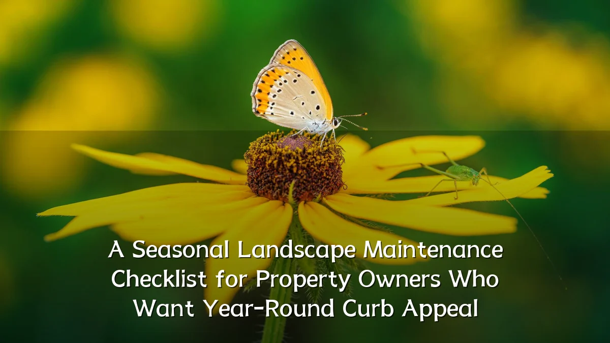 A Seasonal Landscape Maintenance Checklist for Property Owners Who Want Year-Round Curb Appeal